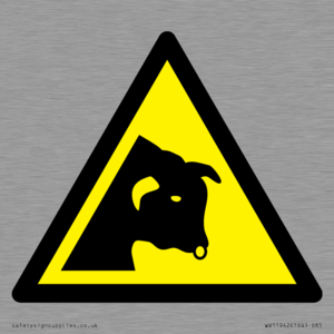 W034 Warning: Bull